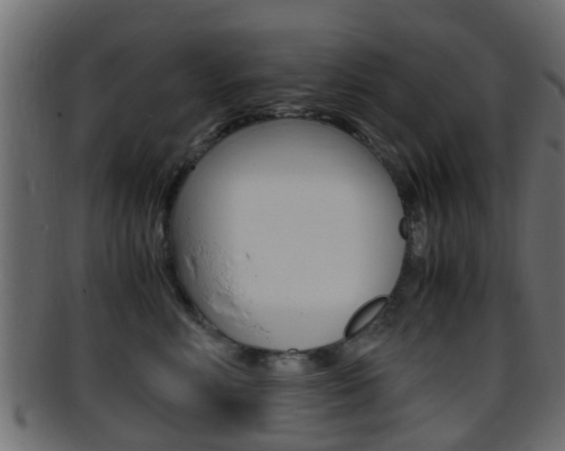 X0000095690618200801081040