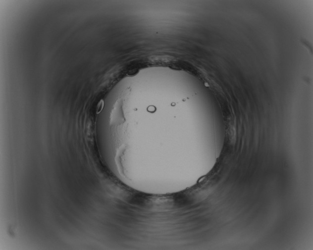 X0000095690619200801081040
