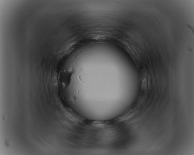 X0000095690620200801081040