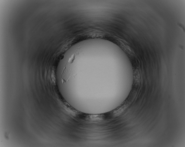 X0000095690622200801081040