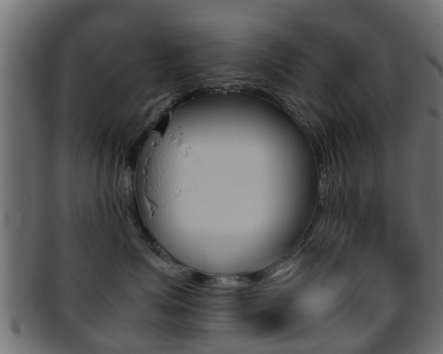 X0000095690623200801081040