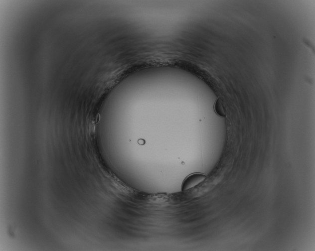 X0000095690624200801081040