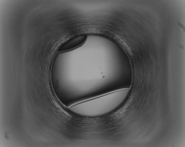X0000095690625200801081039