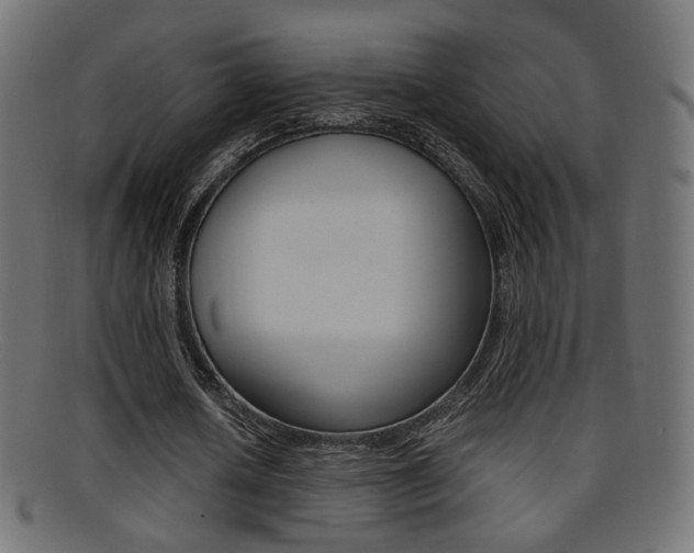X0000095690626200801081039