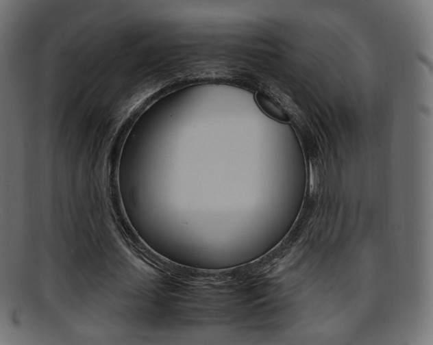 X0000095690627200801081039
