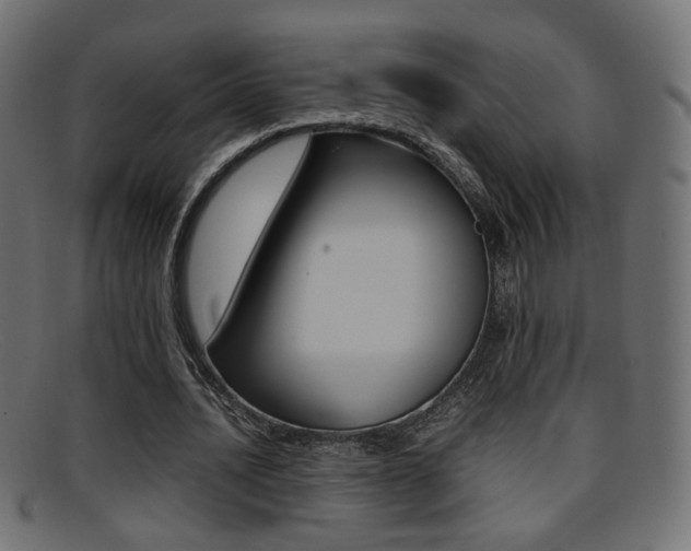 X0000095690628200801081039