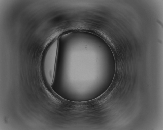 X0000095690629200801081039