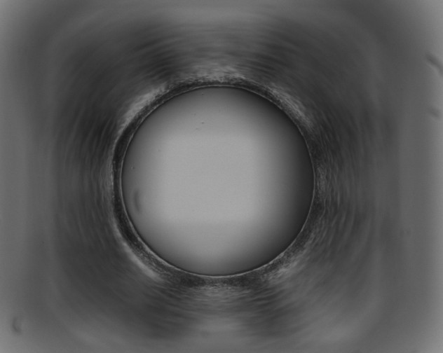 X0000095690630200801081039
