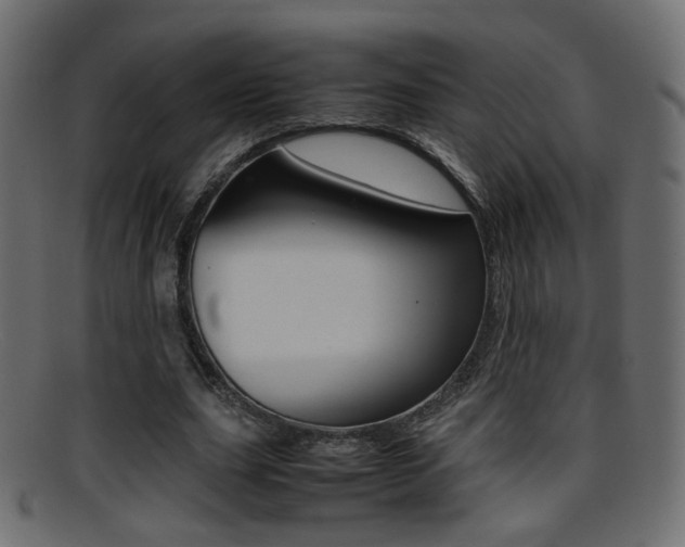 X0000095690631200801081039