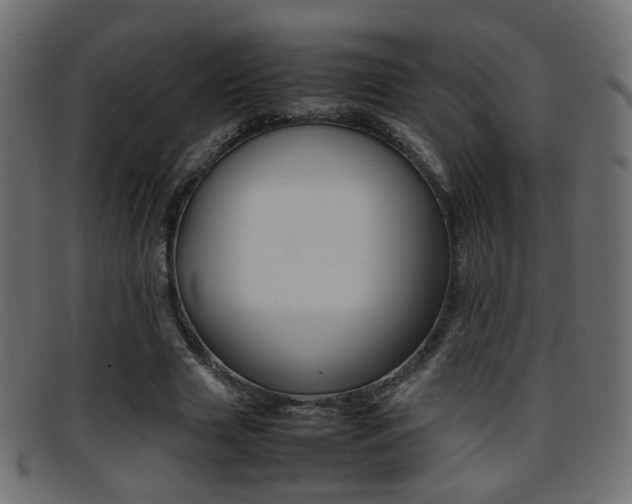 X0000095690633200801081039