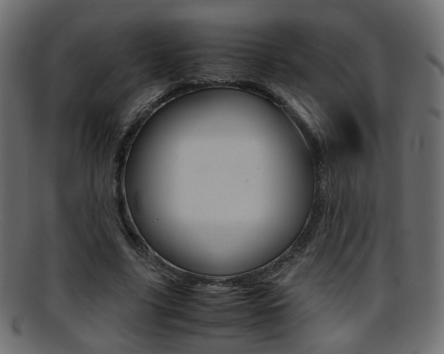 X0000095690635200801081039