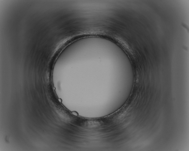X0000095690636200801081039