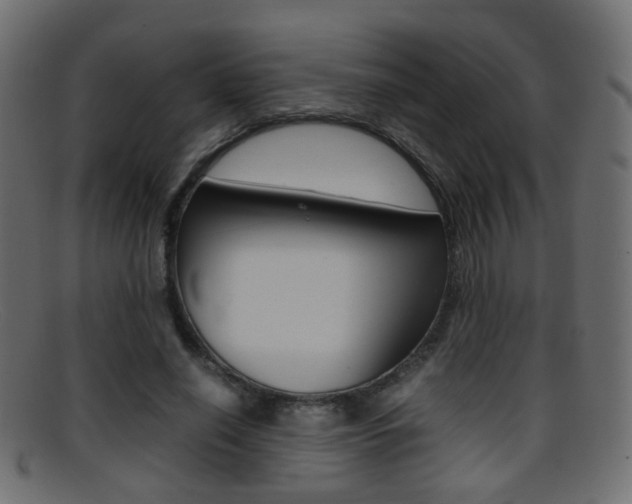 X0000095690638200801081039
