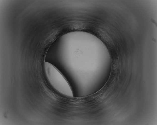 X0000095690639200801081039