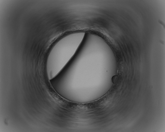 X0000095690640200801081039