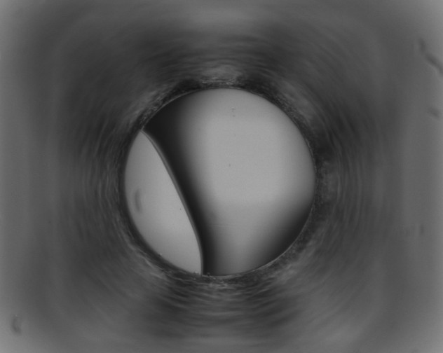 X0000095690641200801081039