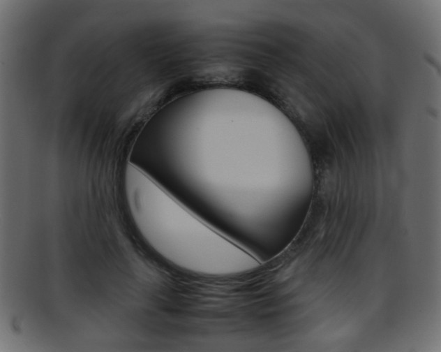 X0000095690643200801081039