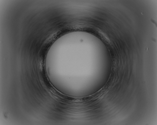 X0000095690644200801081039