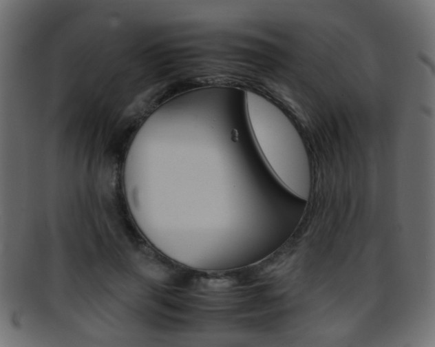 X0000095690645200801081039