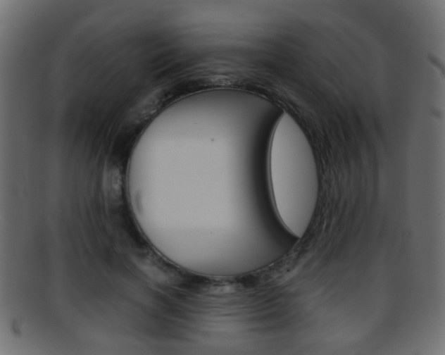 X0000095690646200801081039