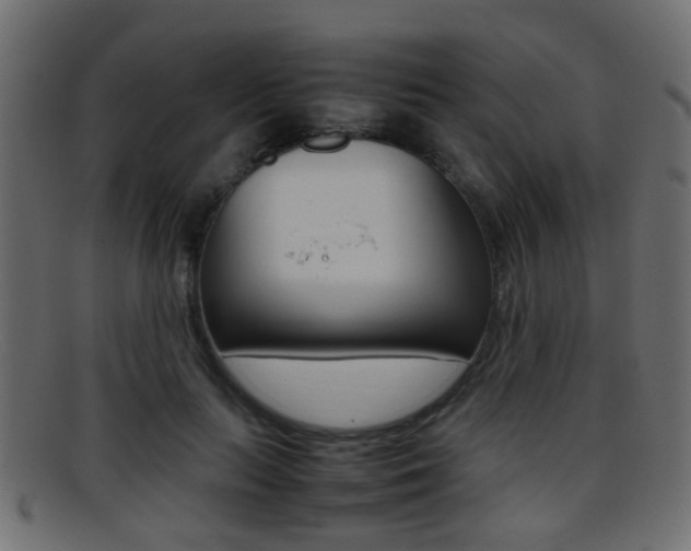 X0000095690647200801081040