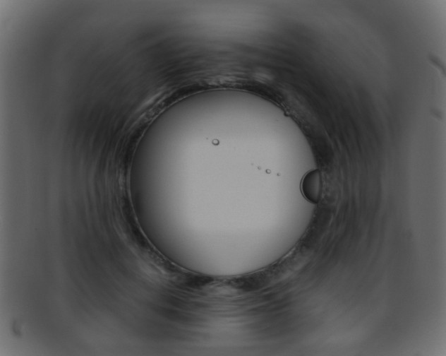 X0000095690648200801081040