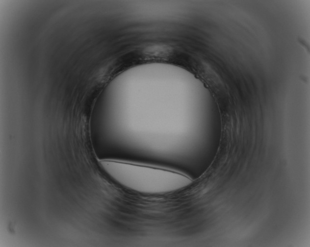 X0000095690649200801081040