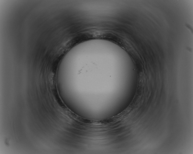 X0000095690650200801081040