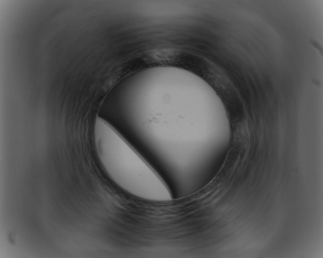 X0000095690651200801081040