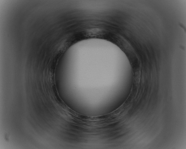 X0000095690653200801081040