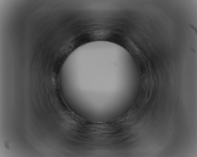 X0000095690655200801081040
