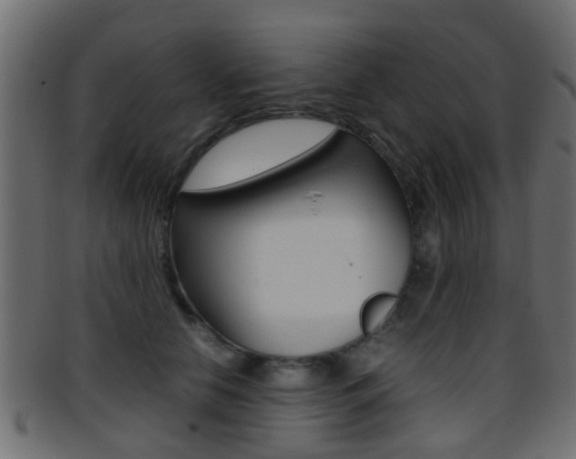 X0000095690658200801081040