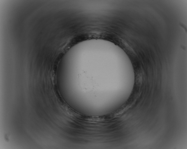 X0000095690661200801081040