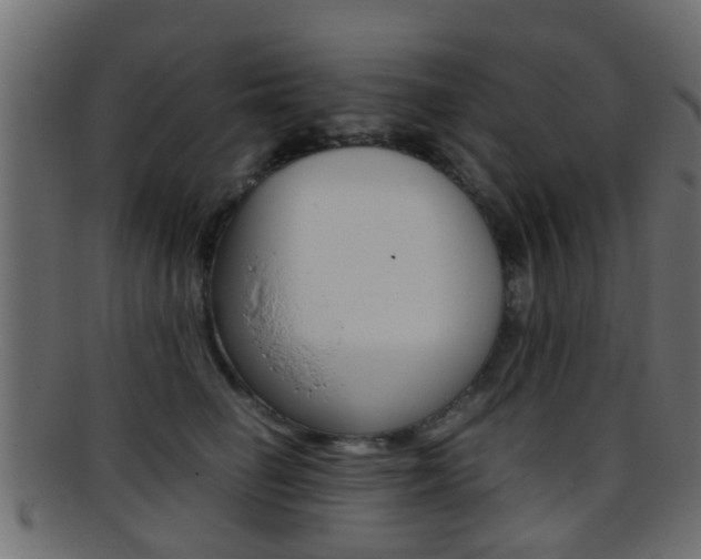 X0000095690662200801081040