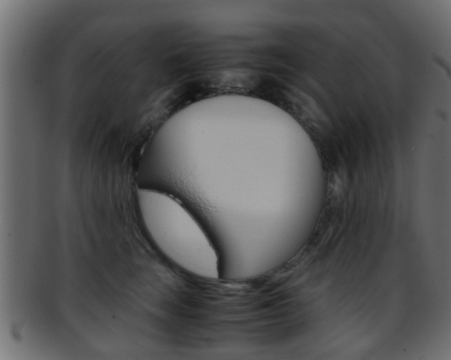 X0000095690663200801081040