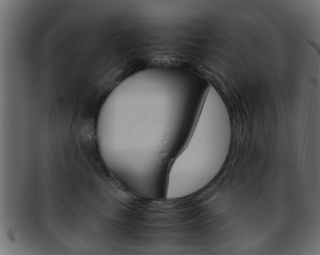 X0000095690665200801081040