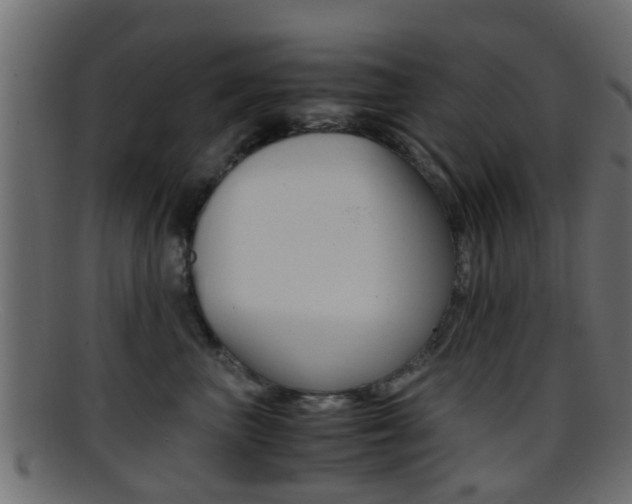 X0000095690667200801081040