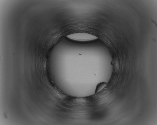 X0000095690668200801081040