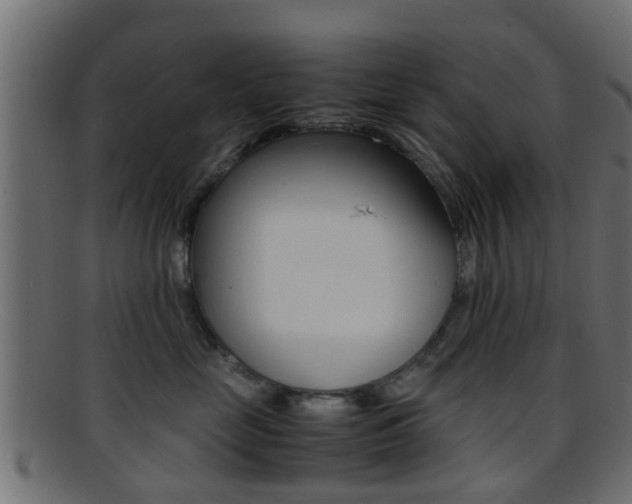 X0000095690669200801081040