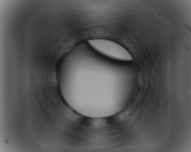 X0000095690670200801081040