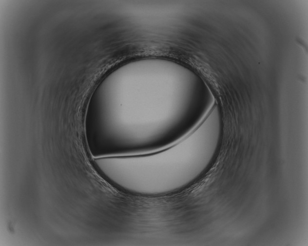 X0000095690673200801081039