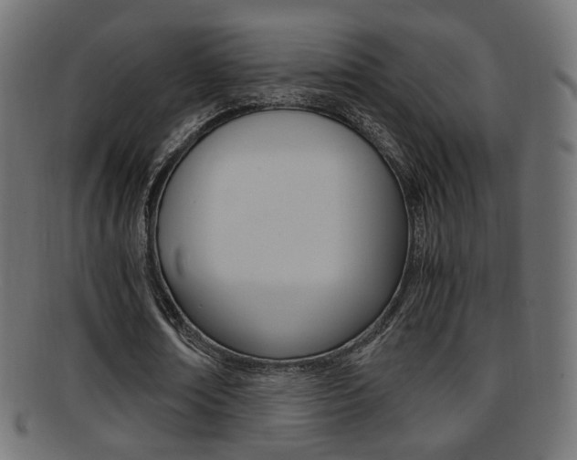 X0000095690674200801081039