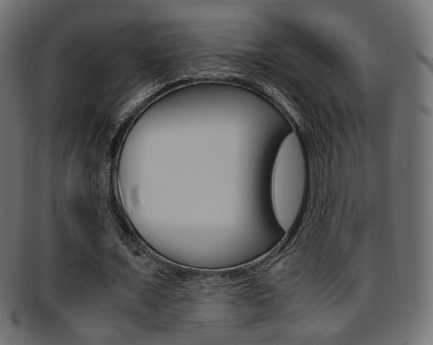 X0000095690675200801081039