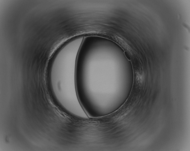 X0000095690676200801081039