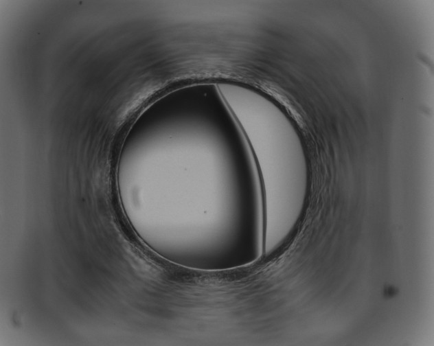 X0000095690677200801081039