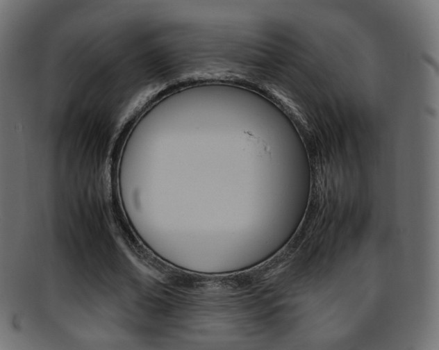 X0000095690678200801081039