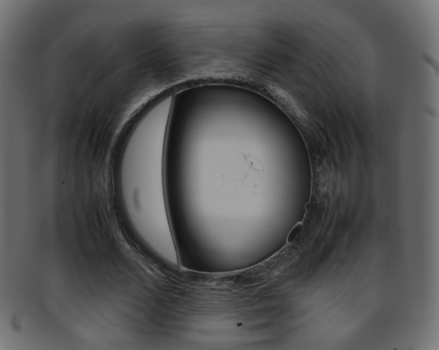 X0000095690680200801081039