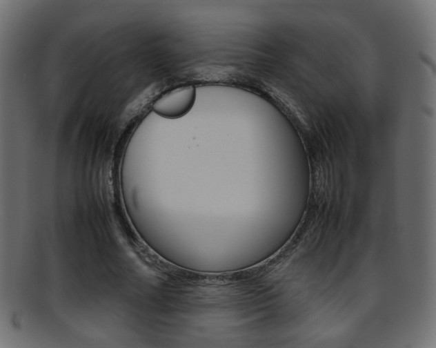 X0000095690682200801081039