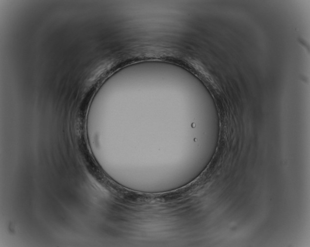 X0000095690683200801081039