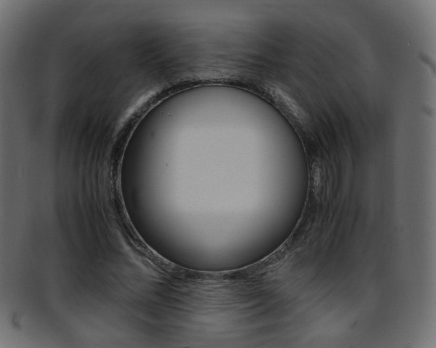 X0000095690684200801081039